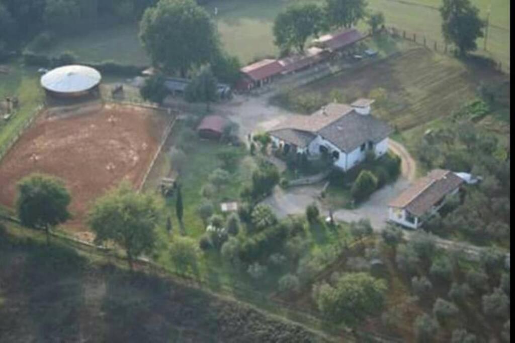 Apartmán Relax, Mare, Natura E Cavalli Giuliano Di Roma Exteriér fotografie